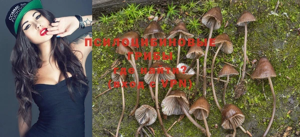 меф Богданович