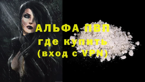 спиды Богородск