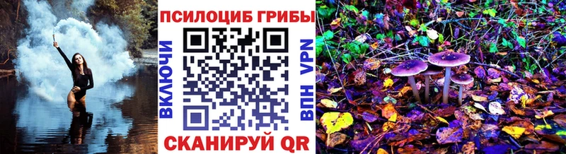 Галлюциногенные грибы Magic Shrooms  Мариинский Посад 